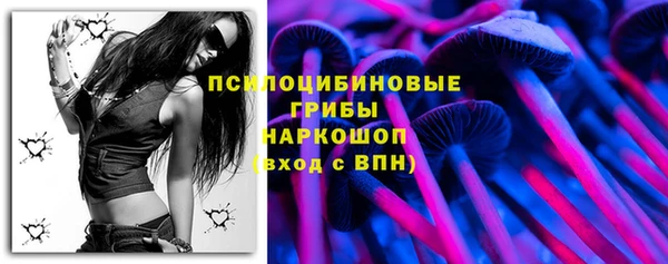 бутират Няндома