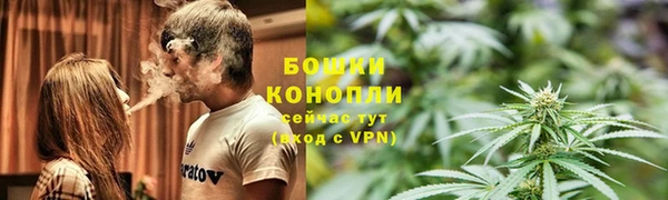 амф Новодвинск