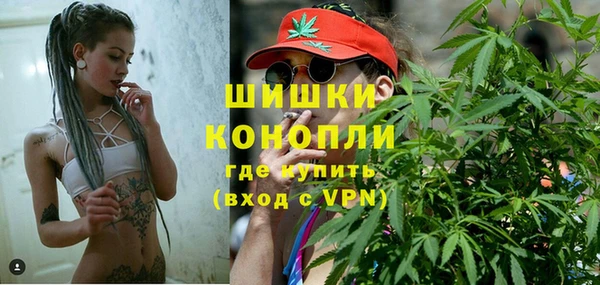 СК Новозыбков