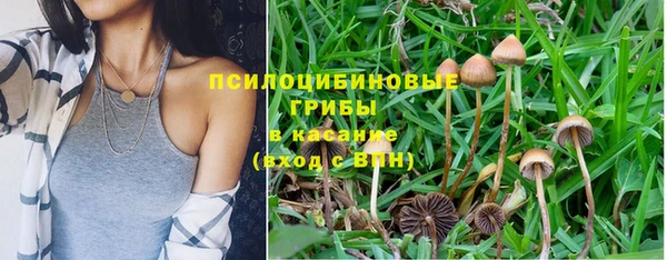 бутират Няндома