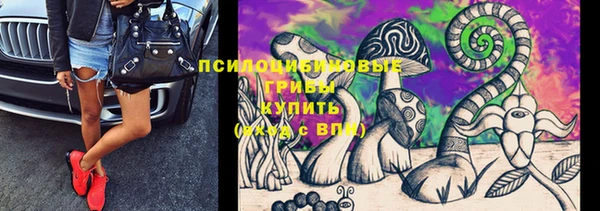 бутират Няндома