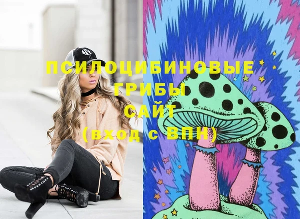 бутират Няндома