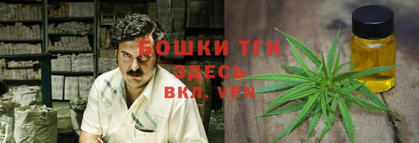хмурый Нягань